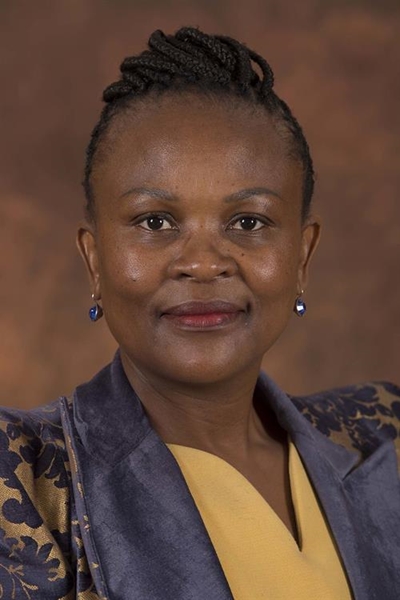 SARB will continue to oppose Public Protector's findings