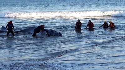 Rescue team says it keeps to protocol strictly