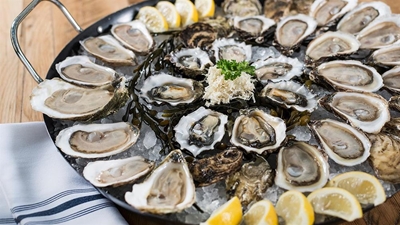 Oyster festival highlights and Saturday