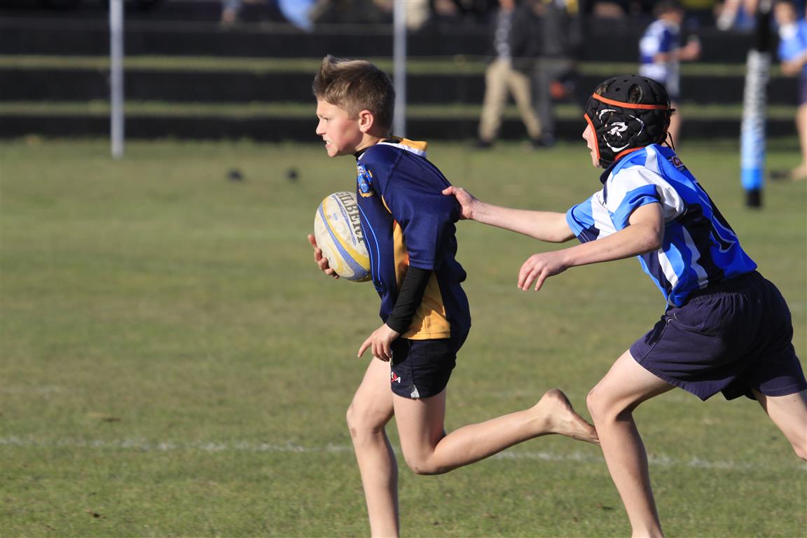 Rugby en netbal teen Wesbank Herald