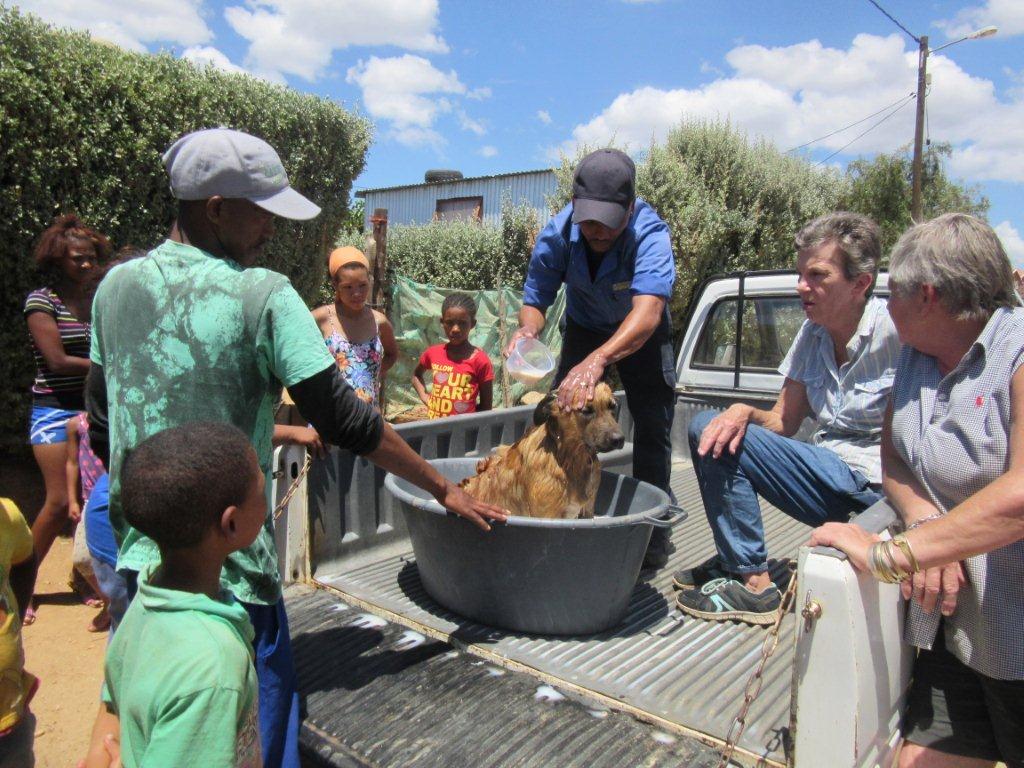 SPCA outreach Oudtshoorn Courant