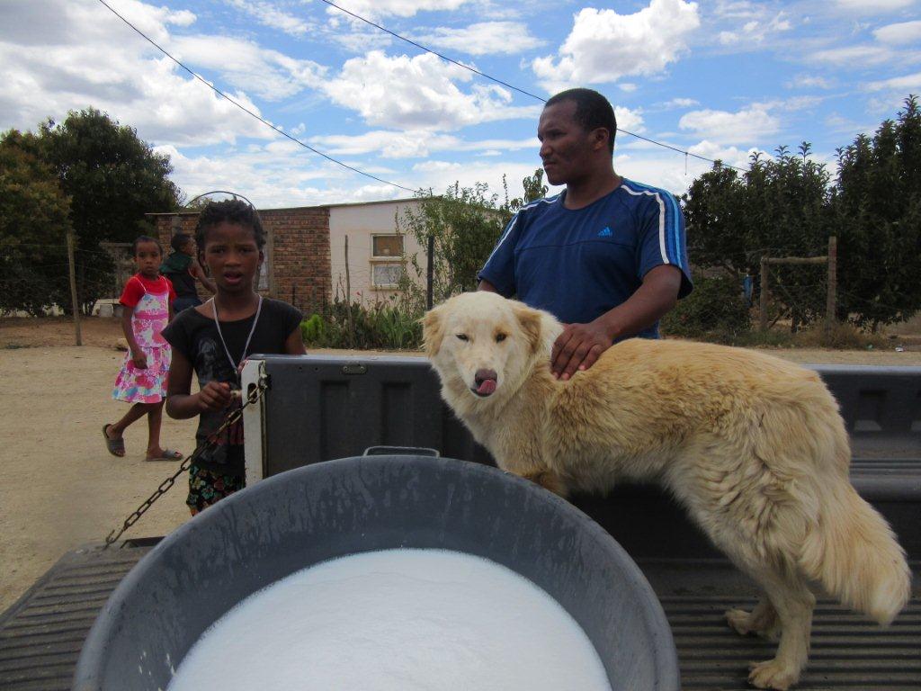 SPCA outreach Oudtshoorn Courant