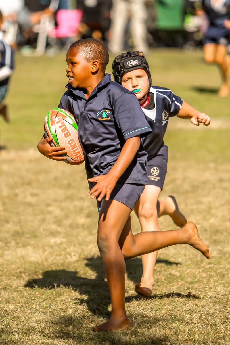 Groot Rugby Groot rugby by George Voorbereiding | George Herald