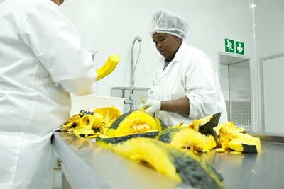 Golden Harvest introduces prepacked vegetables