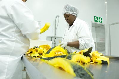 Golden Harvest introduces prepacked vegetables