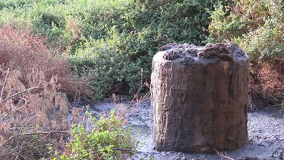 Sewage spill stopped in Heatherlands