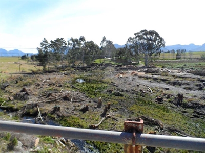 Verwydering van bome langs Gwaingrivier