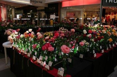 Promises of a rose garden