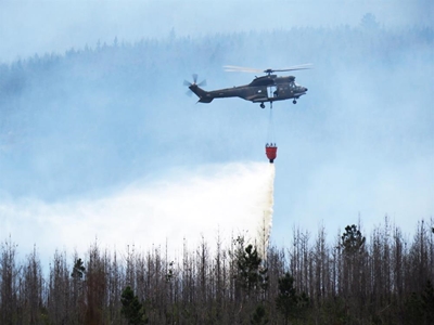 3000 Hectares of parkland wiped out
