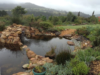 Hoekwil Open Gardens in November