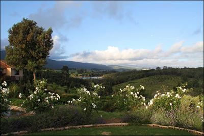 Hoekwil gardens open in November