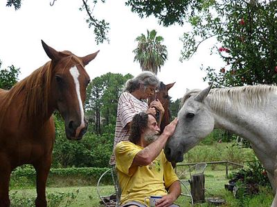 Mare rescued from river