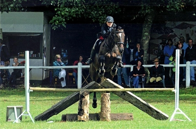Locals excel at horse riding show