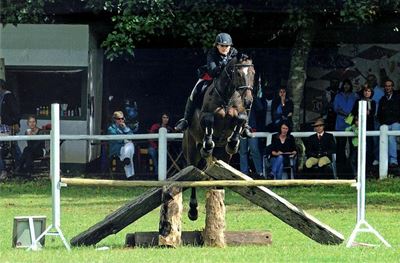 Locals excel at horse riding show