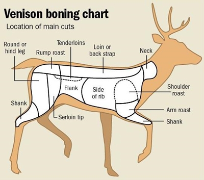 Know the cuts of venison