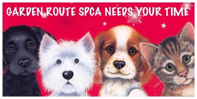 Join the SPCA's git wrap drive