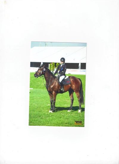 George riding duo show their mettle
