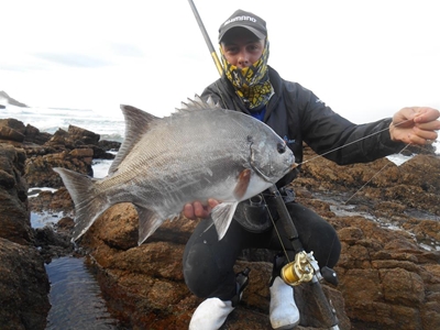 Vet pryse vir vet galjoene
