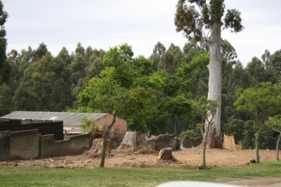 Droom vir Blanco gaan onooglike muur takel