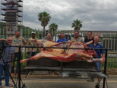 Bul van 'n fees met os op die spit