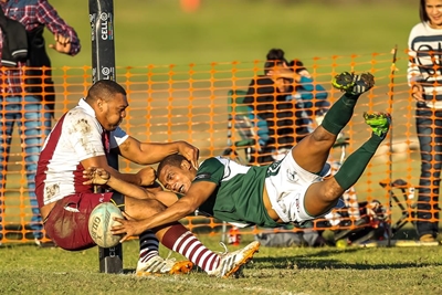 Leegan Moos ryg die punte in vir Evergreens