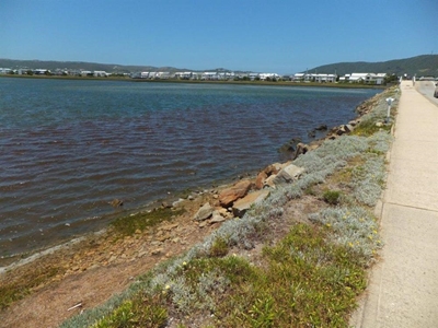 Update: Concern about discolored water