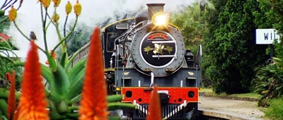Choo-Tjoe not entirely off track