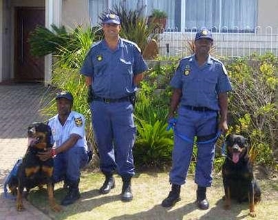 Honde-eenheid maak goeie arrestasie