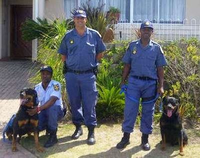 Honde-eenheid maak goeie arrestasie