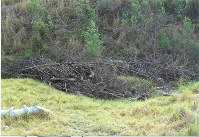 Concern about debris in Kat River