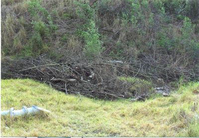 Concern about debris in Kat River