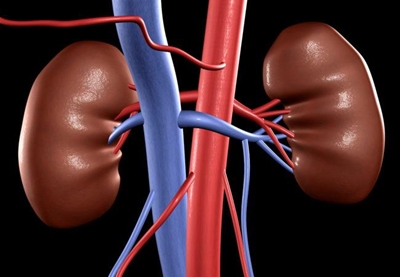 Kidney disease and obesity