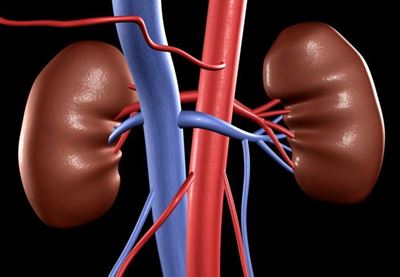 Kidney disease and obesity