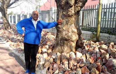 Rocky paving smooths the way