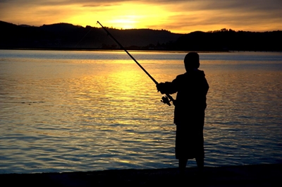 Rules in (fishing) paradise
