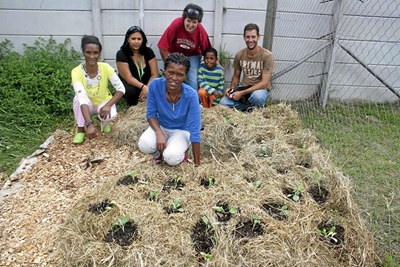 Vegetable garden for Phambili