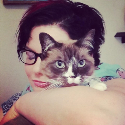 Meet Knysna's own celebrity cat
