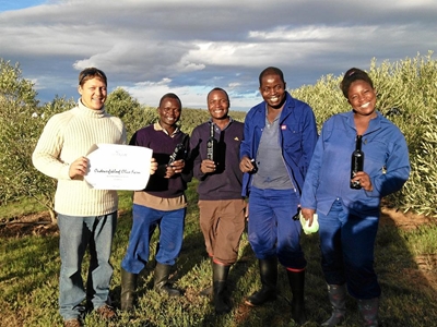 Oudewerfskloof spog met goud vir olyfolie