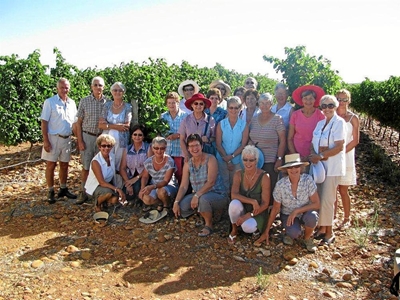 Olywe en druiwe vir tuinbouklub
