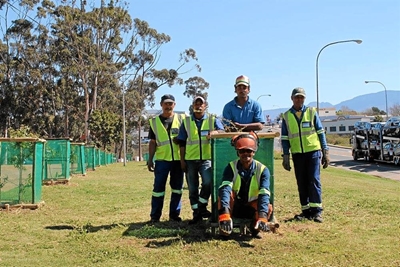 Become part of the tree campaign