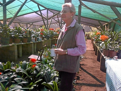 Tuinbouklub leer meer oor Clivia's