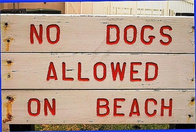 Geen honde op strande