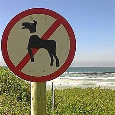 Honde verordening: voorstelle ingevorder