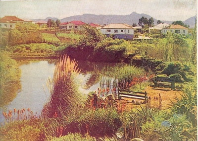 Van vullishoop tot natuurtuin
