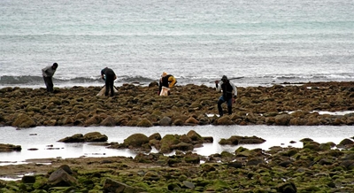 Opvolg: Oesters steeds geplunder