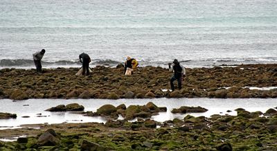Opvolg: Oesters steeds geplunder
