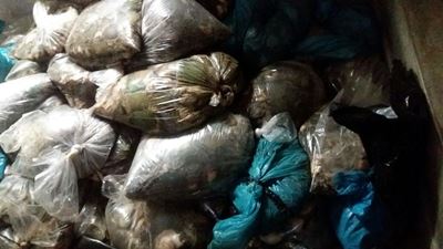 Verdagtes op R8 000 borg vrygelaat