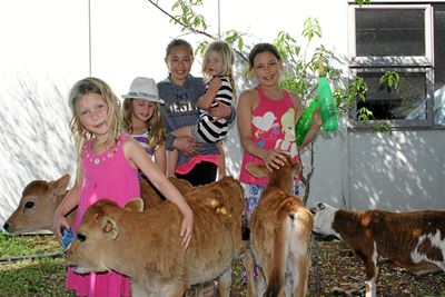 Klein entrepreneur het groot drome