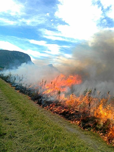 Besige brandseisoen agter die rug