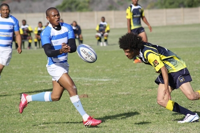 Blues knip Seagulls se vlerke
